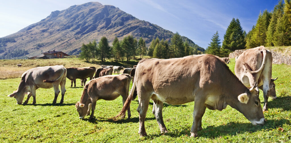 Valle Camonica Orobica