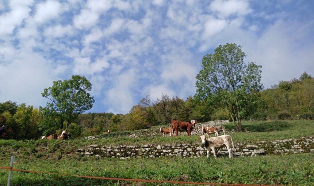 Val Cavallina