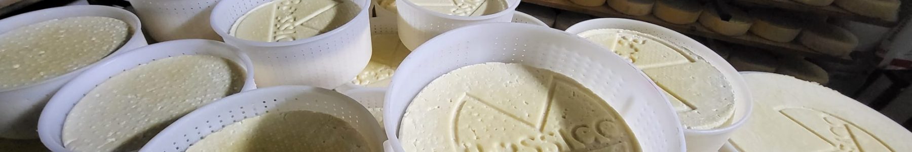 Forme di formaggio