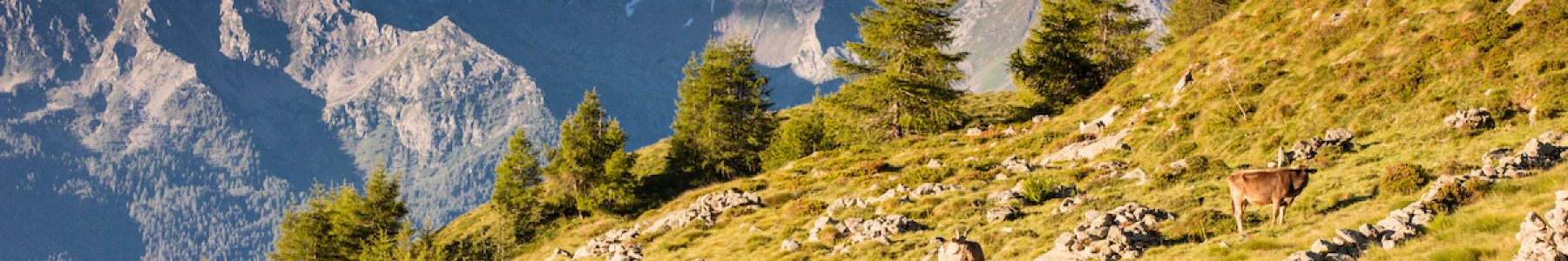 Alpe Rogneda